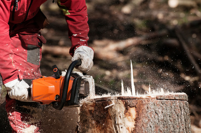 Service-entretien-PJE-jardin-rognage-dessouchage