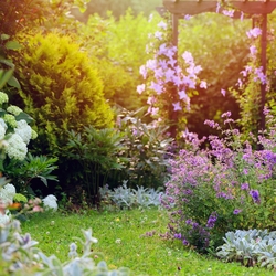 création de parcs et jardins à l'anglaise près de Béthune