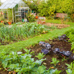 création de jardin potager près de Béthune