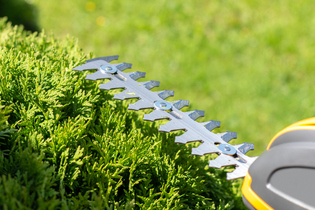 Service entretien jardin taille des haies près de Béthune